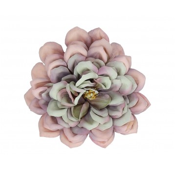 Dalia wyrobowa zielono-fioletowa śr 11cm