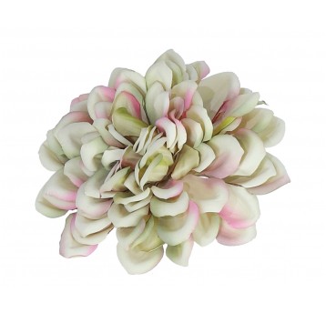 Dalia wyrobowa zielono-róźowa śr 11cm