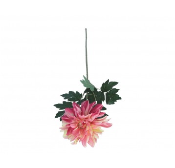 Dalia źółto-róźowa na łodydze 64cm