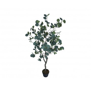 Drzewko eukaliptusa w doniczce 130cm