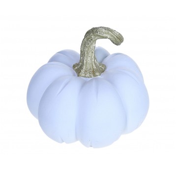 Dynia biała do kompozycji 15cm/15cm