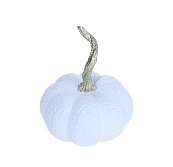 Dynia biała do kompozycji 16cm/19cm