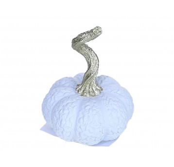 Dynia biała do kompozycji 8cm/10cm