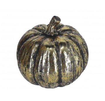 Dynia czarno-złota sr 21cm/20cm