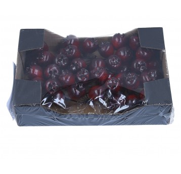 Dzika róźa bordo do kompozycji 2cm/3cm