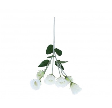 Eustoma biała na łodydze 64cm