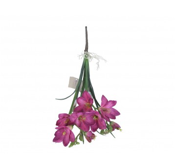 Frezje amarantowe do kompozycji 56cm