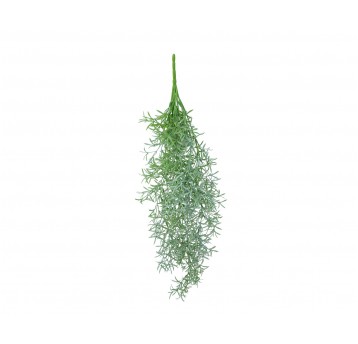 Gałązka asparagusa zielona 75cm