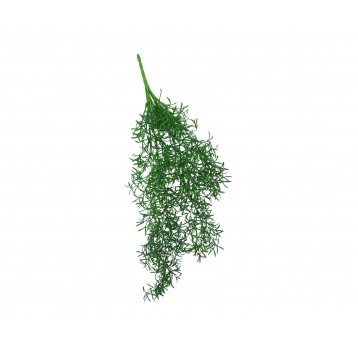 Gałązka asparagusa zielona 75cm