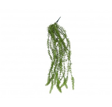 Gałązka asparagusa zielonego 80cm