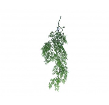 Gałązka asparagusa zielonego 92cm