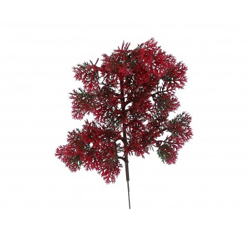 Gałązka czerwonego bonsai 32cm