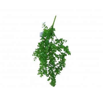 Gałązka eukaliptusa zielona 75 cm