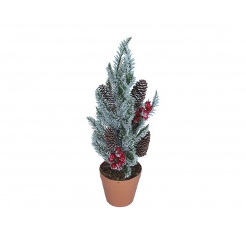Gałązka jodły ozdobnej w doniczce 46cm