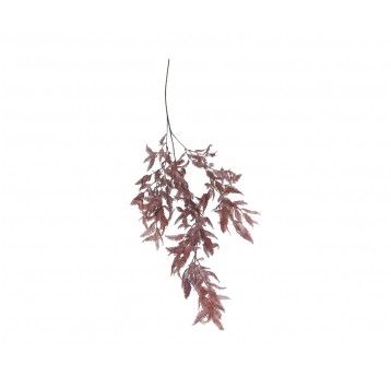 Gałązka ozdobnej rudej jodły 100cm