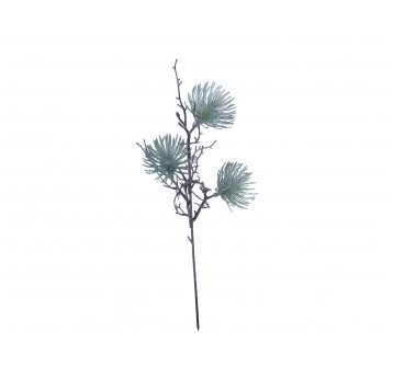 Galazka sosny zielonej 48cm