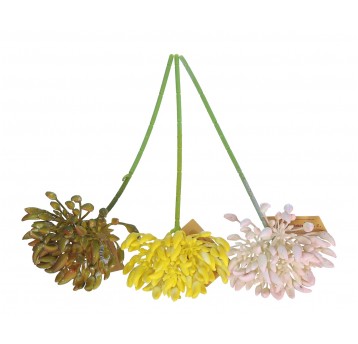 Gałązka z sukulentami mix 3 kol. 30cm