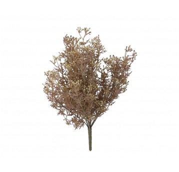 Gałązka zasuszonego kopru 45cm