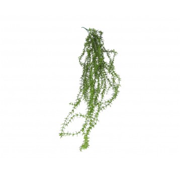 Gałązka zielonego asparagusa 100cm