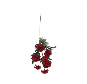 Goździk czerwony na łodydze 70cm