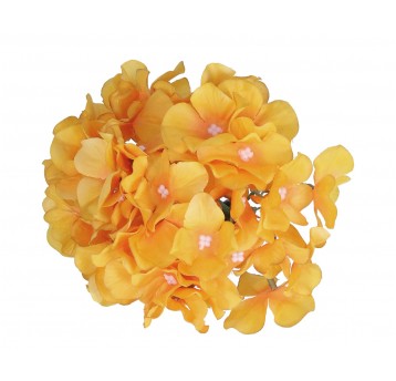 Horetensja wyrobowa c.źółty śr16cm/12cm