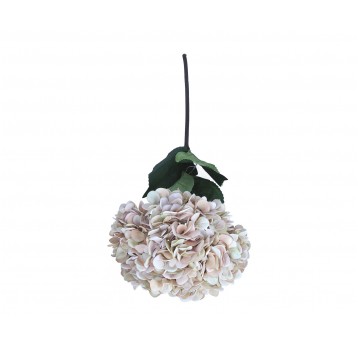 Hortensja beźowa na łodydze 74cm