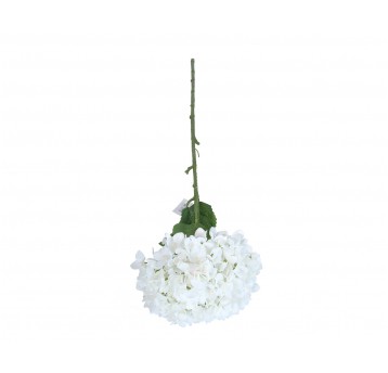 Hortensja biała do kompozycji 110cm
