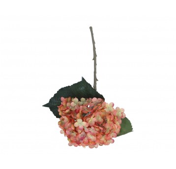 Hortensja pomaranczowa na łodydze 52cm