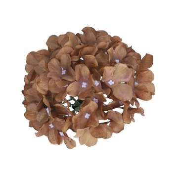 Hortensja wyrobowa brązowa śr16cm/12cm