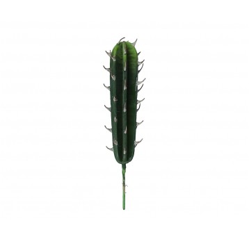 Kaktus zielony 35cm