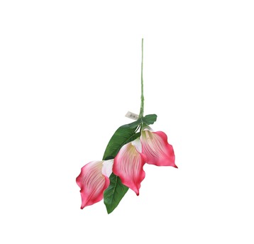 Kala amarantowa 3 kwiaty na łodydze 90cm