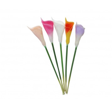 Kala mix 5 kol. 70cm