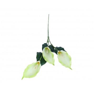 Kala zielona 3 kwiaty na łodydze 88cm