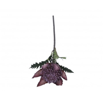 Karczoch fioletowe do kompozycji 56cm
