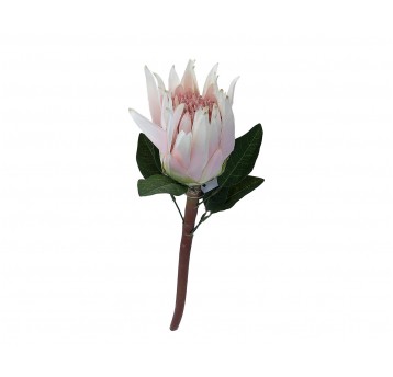 Karczochy j. rózowe na lodydze 60cm