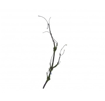 Korzeń brązowy z zielonym mchem 130cm