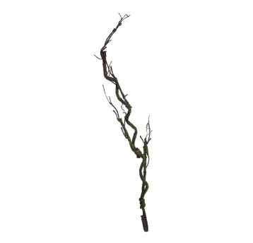 Korzeń ozdobny brązowy 130cm