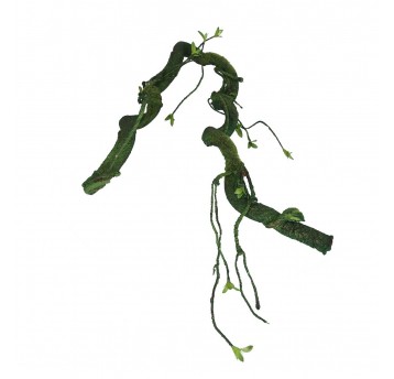 Korzeń ozdobny zielony 130cm