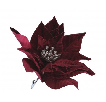 Kwiat poinsecji bordo na klipsie 25cm