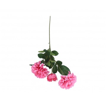 Kwiaty amarantowe na lodydze 62cm