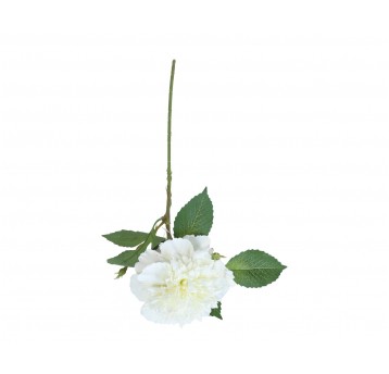 Kwiaty białe na lodydze 56cm