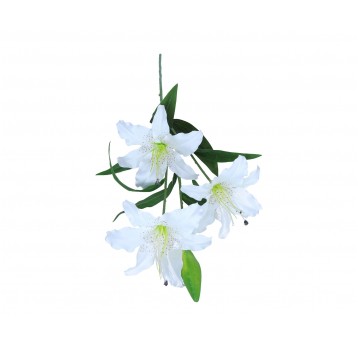 Lilia biała 3 kwiaty na łodydze 82cm