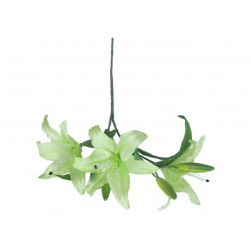 Lilia zielona na łodydze 3 kwiaty 80cm