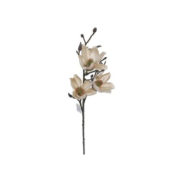 Magnolia beźowa na łodydze 94cm