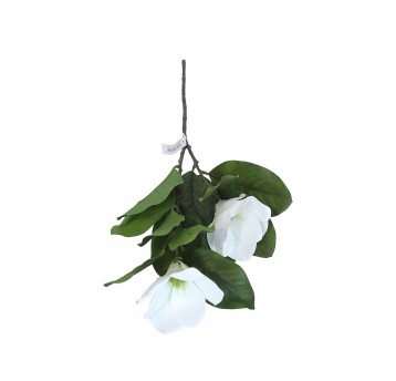 Magnolia biała do kompozycji 70cm