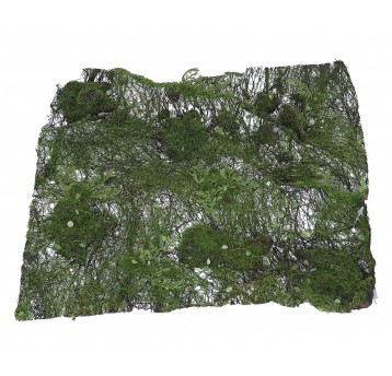 Mata dekoracyjna z mchem i paprocią 29cm/30cm