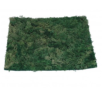 Mata z zielonego mchu 25cm/25cm