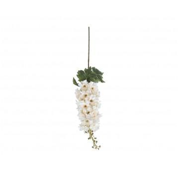 Ostroźka kremowa na łodydze 96cm