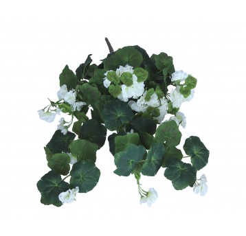 Pelargonia biała do kompozycji 68cm