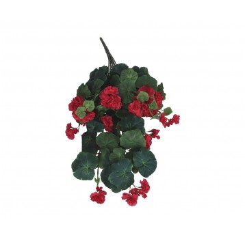 Pelargonia czerwona do kompozycji 68cm